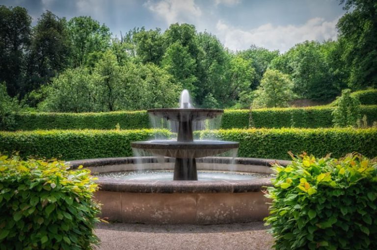 Fountain - a water fountain surrounded by hedges and trees