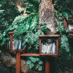 Book Nature - books piled on brown wooden bookshelf