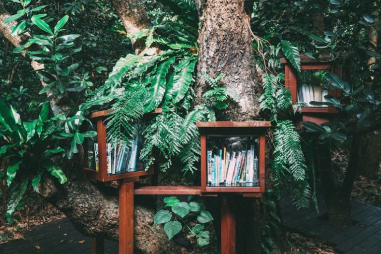 Book Nature - books piled on brown wooden bookshelf