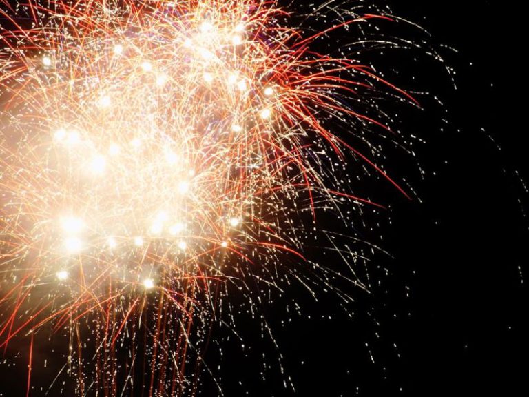 Public Holiday - a fireworks is lit up in the night sky
