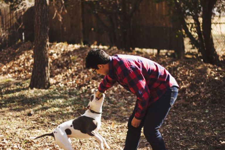 Pet Outdoor - man playing with dog